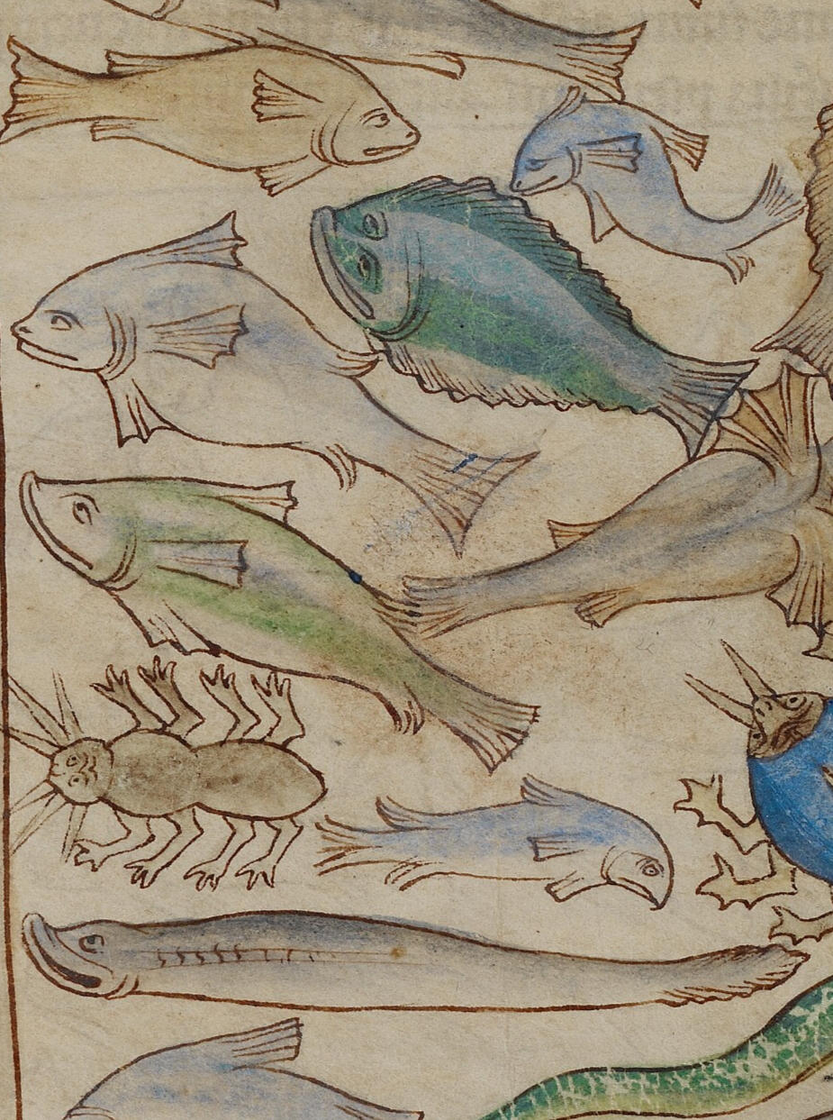 Mediterranean Coast